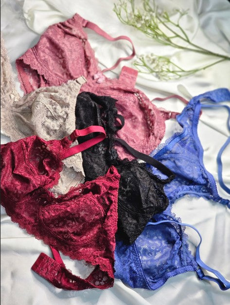 Delicate Allure Lace Net Bra