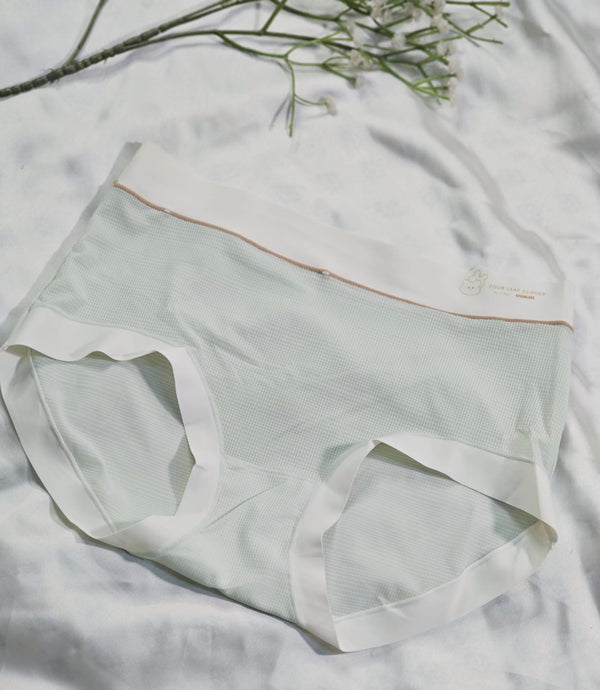 Bunny Soft Mesh Briefs