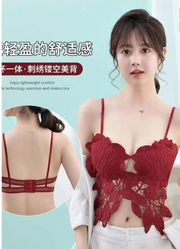 Elegant Lace Bralette
